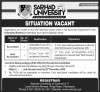 Vacant post in the account department